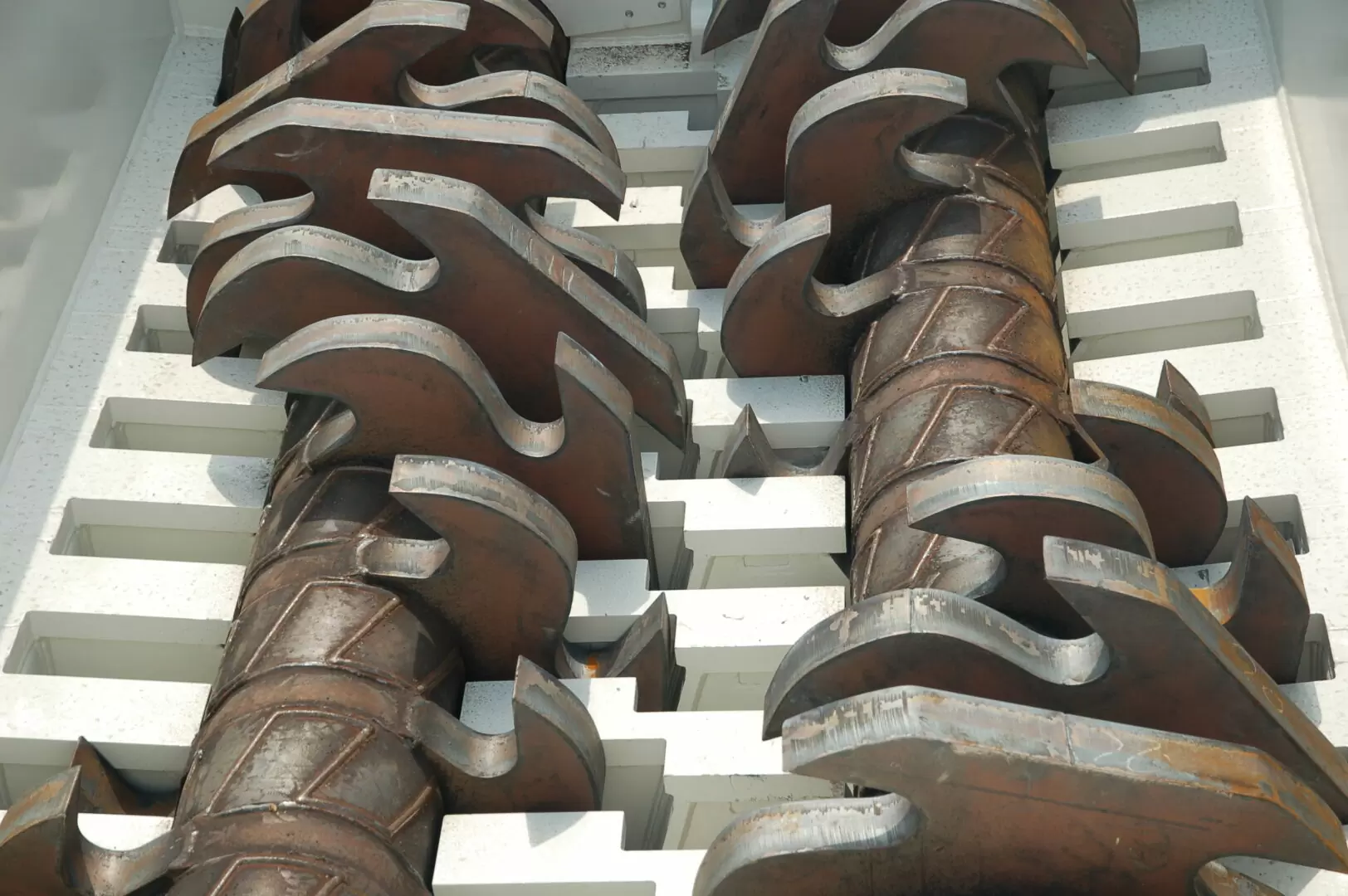 DSC_0626_Bild-für-Homepage