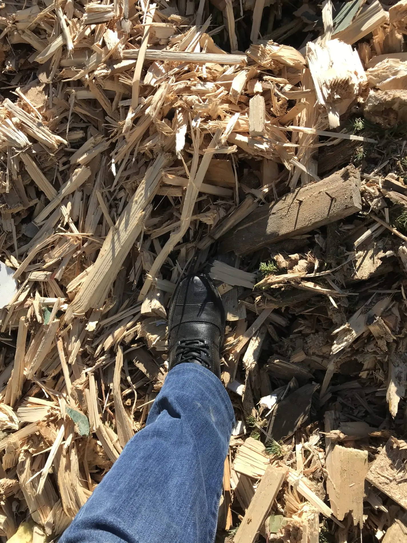 Komptech_Terminator-3400-S_Sotridec-3-e1570796994680