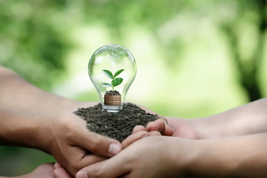 iStock-1495563730-klein-1187×791