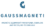 Logo-Gaussmagneti